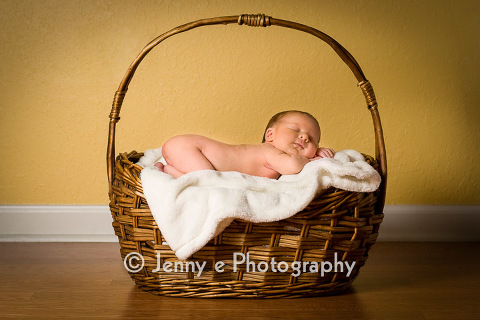 Ocala Photographer specializing in Newborn Photography