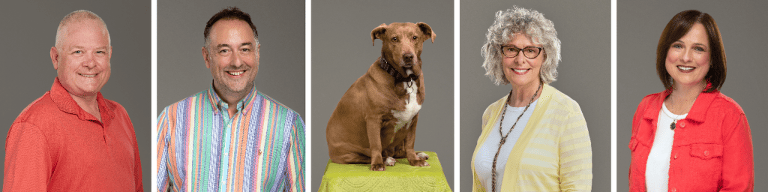 4 real estate agents and a dog posed for individual headshots wearing bright colors.